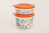 TUPPERWARE Iluminas 800 ml + 350 ml orange Tropical Behälter Vorrat I