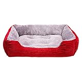 Ryoizen Hundebett,Hundekorb, gemütliches Hundesofa,Haustierbett,Microfaser-Velours, waschbares Hundebett mit Rand, Hundekissen Vier-eckig,einfache Reinigung, rutschfest(rot ，M)