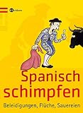 Spanisch schimpfen: Beleidigungen, Flüche, S