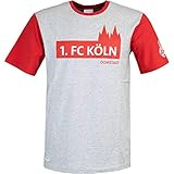 uhlsport 1. FC Köln 3.0 Freizeit T-Shirt (M, Grey/red)