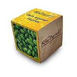 Hopfenpflanze in Holzbox Braupartner | Geschenk-Anzuchtset | Hopfen selber züchten | Pflanzensamen in Holzwürfel | Hopfensamen zum selbst Anb