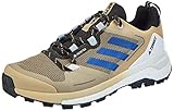 adidas Herren Terrex Skychaser 2 GTX Traillaufschuh, Beige Tone Bold Blue Core Black, 46 2/3 EU