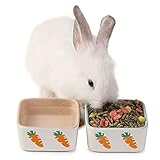 JanYoo Kaninchen Zubehoer Futternapf Katze Keramik Meerschweinchen Trockenfutter Wasser Duo Napf Igel Hamster Sachen k