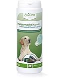 AniForte Grünlippmuschel Kapseln Hund 300 Stück - Gelenktabletten für Hunde in Vollfettqualität 10,2%, Glycosaminoglycane 3,3%, Tabs mit Grünlippmuschelpulver, unterstützt Gelenke & Gelenkfunk