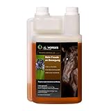 Kräuterland Teufelskralle Liquid für Pferde 1L - 1000ml flüssiges Teufelskrallen-Extrakt, Harpagophytum procumbens - Futterzusatz in Premium Q