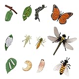 YARNOW 3 Sets Insekten Lebenszyklus Schmetterling Biene Libelle Tier Modell Wissenschaft Pädagogische Kinder Spielzeug (zufälliger Stil)