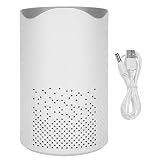 FAMKIT Tragbarer Autoreiniger negativer Ionenformaldehyd-Entfernung Luftreiniger USB betrieb