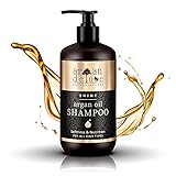 Argan Deluxe Shampoo in Friseur-Qualität 300 ml - TESTSIEGER 2021 - stark pflegend mit Arganöl für Geschmeidigkeit & Glanz - für Damen und H