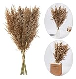 Natürliche getrocknete Schilf Bündel kleine Pampas Gras Löwenzahn Gras Fake Blume Künstliche Blume Blumenstrauß Dekorative Getrocknete Blumen Künstliche Lavendel Blumen künstliche gefälschte B