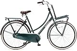 POPAL Daily Dutch Basic 28 Zoll 57 cm Frau Rücktrittbremse Dunkelgrü
