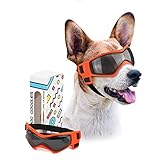 PETLESO Hundebrille Hundeschutzbrille Hunde Sonnenbrille Anti-UV Schutz Augenschutz für Kleine/Mittelgroße H