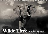 Wilde Tiere in schwarz-weiß (Wandkalender 2021 DIN A2 quer): Afrikas wildlebende Tiere in eindrucksvollen Bildern (Monatskalender, 14 Seiten ) (CALVENDO Tiere)