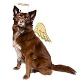 Pet Krewe Engel Hundekostüm - Hund Engelsflügel - Geschirr Aufsatz Einheitsgröße - Perfekt für Halloween, Partys, Fotoshootings und Geschenke für Hundeliebhaber (normal)