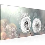 Wandbilder Pusteblume 1 Teilig Modern Vlies Leinwand Wohnzimmer Flur Blumenwiese Türkis Grau 023612b