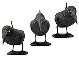 tiroba Premium Taubenschreck Rabe 3er Set - wetterfester Kunststoff - inkl. ebook Vögel vertreiben | Vogelabwehr, natürl. Schädlingsbekämpfung, Schutz vor lästigen Vögeln Tauben, Möwen, Kleinvög
