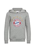 FC Bayern München Kinder Hoodie Logo grau, 128