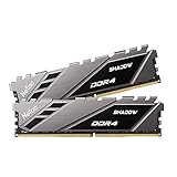 Netac Shadow DDR4 3200 MHz 32GB (2×16GB) CL16 XMP 2.0 Dram, Arbeitsspeicher für PC Intel und AMD Ryzen, Dunkelg