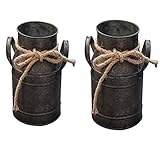 Cabilock 2 Stücke Vintage Blumenvase Milchkanne Eisen Blumentopf Shabby Chic Deko Landhaus Vase Rustikal Blumeneimer Mini Metall Eimer Übertopf Dekovase Kaktus Topf für Wohnzimmer Tischdek