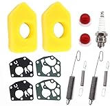 okuya Vergaser 2 Staz Luftfilter mit Vergasermembranregler Feder für Briggs & Stratton Quattro 450 500 550 Series 698369 Classic Sprint 795083 694394 692211 691859 Motor E