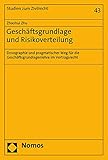 Geschäftsgrundlage und Risikoverteilung: Doxographie und pragmatischer Weg für die Geschäftsgrundlagenlehre im Vertragsrecht (Studien zum Zivilrecht 43)