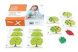 Toys for Life | zähle die Äpfel | Lehrmaterialien Mathematik | Mathematik | Ab 36 Monate | Bis 72 M