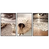 decomonkey | Poster 3er– Set schwarz-weiß Bilder Set Kunstdruck Wandbild Print Bilderrahmen Kunstposter Wandposter Posterset Strand Meer Natur Landschaft Blumen Pusteblume S