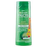 Garnier Fructis MINT Fresh Anti-Schuppen-Shampoo mit Salicylsäure und Minzblättern, ohne Parabene, Packung à 2 x 250 ml, (die Packung kann variieren)