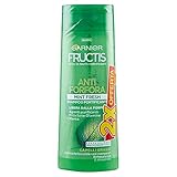 Garnier Fructis MINT Fresh Anti-Schuppen-Shampoo mit Salicylsäure und Minzblättern, ohne Parabene, Packung à 2 x 250 ml, (die Packung kann variieren)