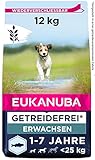 Eukanuba Hundefutter getreidefrei mit Fisch für kleine und mittelgroße Rassen - Trockenfutter für ausgewachsene Hunde, 12 kg