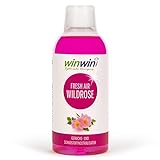 winwin clean Systemische Reinigung - LUFTREINIGUNGS-Konzentrat Fresh AIR 'WILDROSE' 500ML I