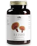 KRÄUTERHANDEL SANKT ANTON® Reishi Kapseln 500mg Tagesdosis - Hochdosiert 180 Kapseln - Vegan, Laktose- und Glutenfrei - Deutsche Premium-Q