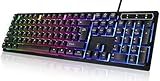 Auanoz Gaming Tastatur PC,Tastatur USB, Regenbogen Beleuchtete Tastatur LED, Gaming Keyboard ideal für PC Gamer und Arb