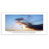 ArtCard X 5 Stück Trauerkarte, Kondolenzkarte 21 x 10,5 cm mit weißem Umschlag und Ausfüllanleitung (5 Stück)