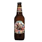 Iron Maiden Trooper Beer 8 x 500ml inc. 2.00€ EINWEG