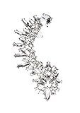 Happiness Boutique Damen Ear Cuff Ohrring in Silberfarbe | Statement Ohrring Ear Crawler mit Strasssteinen in Neutraler Farbe Rock Chic Look