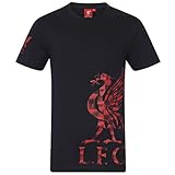 Liverpool FC - Herren T-Shirt mit Printmotiv - Offizielles Merchandise - Marineblau - Logo am Ärmel - L