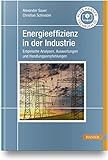 Energieeffizienz in der Industrie: Empirische Analysen, Auswertungen und Handlungsempfehlung