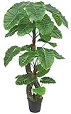Decovego Aronstab Araceae Arum Taro Kunstpflanze Kunstbaum Künstliche Pflanze mit Topf 170