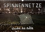 Spinnennetze - Wunder der Natur (Wandkalender 2022 DIN A3 quer) [Calendar] Roder,