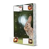 artboxONE Adventskalender mit Pralinen von Ferrero Junges Kaninchen Adventskalender N