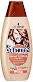 SCHWARZKOPF SCHAUMA Shampoo, 2er Repair & Pflege, 1er Pack (1 x 800 ml)