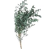 Eukalyptus Trockenblumen Echt, Eukalyptus Getrocknet Blumen Trockenblumenstrauß Hochwertige Reine Natürliche Pflanze Rundes Blatt Ewiges Leben Und Frisch Erhalten,Trockenblumen Deko Für Party 40-60