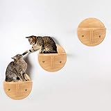 HJLINA Kratzbaum Katze Leiter Schritte Haustier Katze Wandhalterung Treppenhaus Kletterregal DIY. Katze Wandkatze Kletterplattform Holzkatze Jump Bridge Haustier Spielzeug (Color : 1pcs)