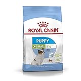 ROYAL CANIN RC X-Small Junior 500g