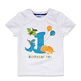 AMZTM Baby Dinosaurier Geburtstag Shirt - 1. Dino Party Jungen Geburtstag T-Shirt Kinder Baumwolle Kurzarm Weiß T-Rex Gedruckt Top Bekleidung