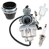 AISEN Vergaser PZ30 Luftfilter Zündkerze für Bashan BS200S-7 BS250S-11 Kymco MXU 300 L60020, KXR 250, Maxxer 250 300 Motorrad 200 ccm und 250 ccm, Enduro, Quad, T