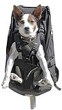 PREMIUM BIG&SLIM DOG CARRIER Hunderucksack als Hundetransporttasche / Rucksack, schwarz - Hochwertiger Hunderucksack für Hunde von 7-16kg