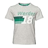 Werder Bremen Werder Kids T-Shirt (164, grau)