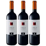 Statti I Gelsi Rosso IGT Calabria Rotwein Wein Trocken Italien I Visando Paket (3 x 0,75l)