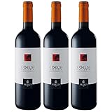 Statti I Gelsi Rosso IGT Calabria Rotwein Wein Trocken Italien I Visando Paket (3 x 0,75l)